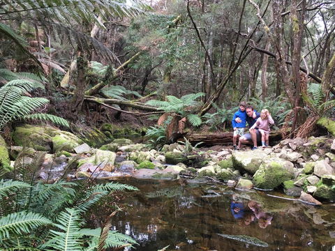 Derby Forest Cabins - Accommodation Sunshine Coast 17