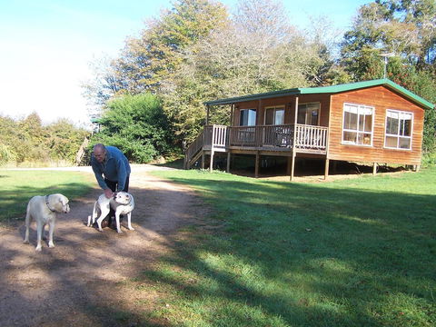 Drumreagh Cabins - Accommodation Sunshine Coast 4