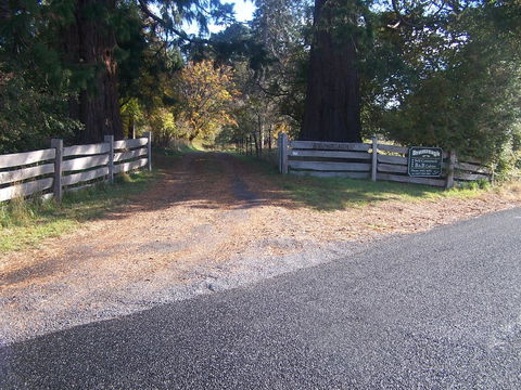 Drumreagh Cabins - Accommodation Sunshine Coast 7