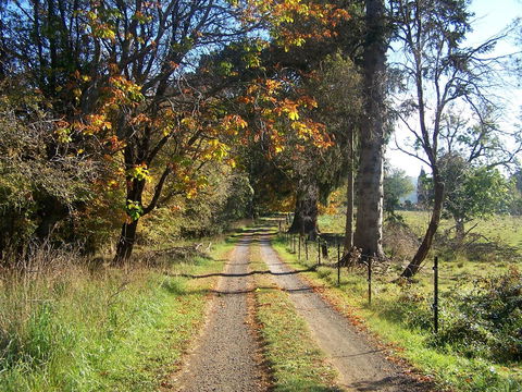 Drumreagh Cabins - Accommodation Sunshine Coast 6