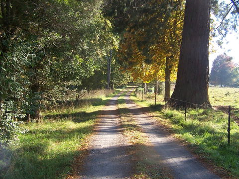 Drumreagh Cabins - Accommodation Sunshine Coast 5