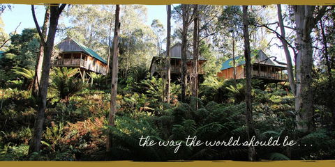 Lemonthyme Wilderness Retreat - Accommodation Sunshine Coast 20