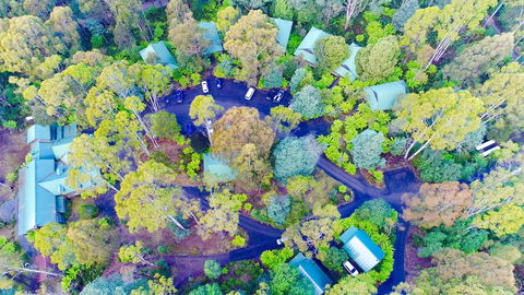 Lemonthyme Wilderness Retreat - Accommodation Sunshine Coast 1
