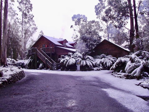 Lemonthyme Wilderness Retreat - Accommodation Sunshine Coast 12