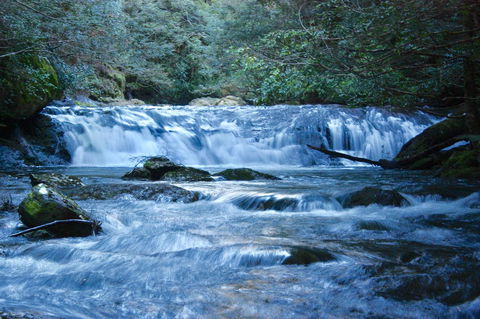 Lemonthyme Wilderness Retreat - Accommodation Sunshine Coast 10