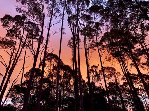 Lemonthyme Wilderness Retreat - Accommodation Sunshine Coast 8