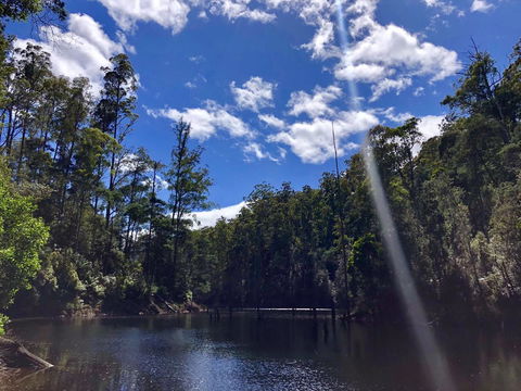 Lemonthyme Wilderness Retreat - Accommodation Sunshine Coast 7