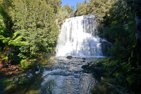 Lemonthyme Wilderness Retreat - Accommodation Sunshine Coast 19