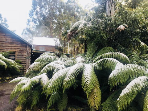 Lemonthyme Wilderness Retreat - Accommodation Sunshine Coast 5