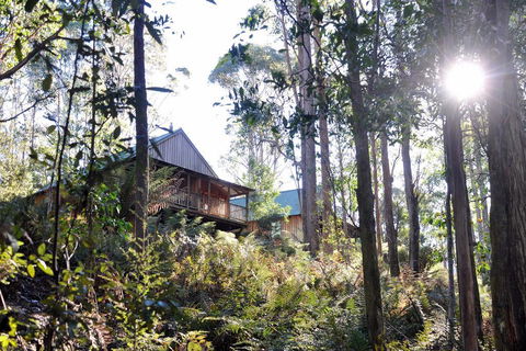 Lemonthyme Wilderness Retreat - Accommodation Sunshine Coast 25