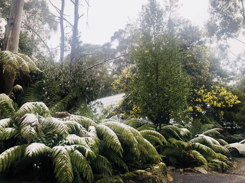 Lemonthyme Wilderness Retreat - Accommodation Sunshine Coast 16
