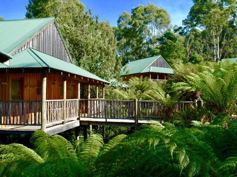 Lemonthyme Wilderness Retreat - Accommodation Sunshine Coast 11