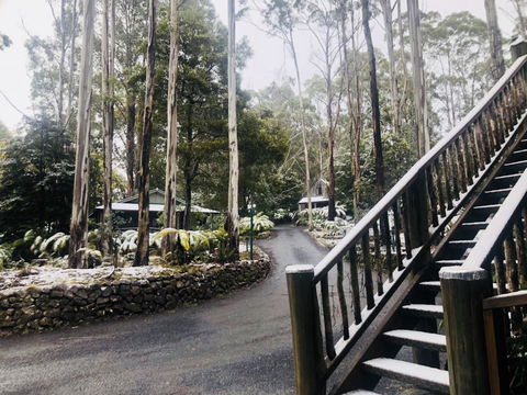 Lemonthyme Wilderness Retreat - Accommodation Sunshine Coast 15