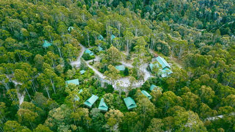 Lemonthyme Wilderness Retreat - Accommodation Sunshine Coast 0