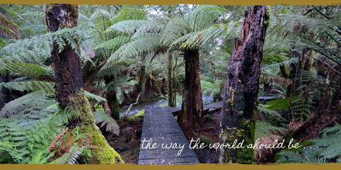 Lemonthyme Wilderness Retreat - Accommodation Sunshine Coast 17