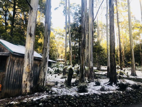Lemonthyme Wilderness Retreat - Accommodation Sunshine Coast 6