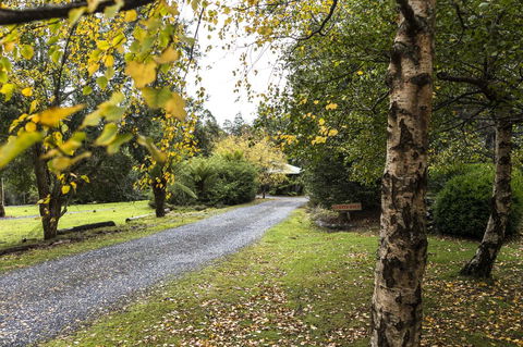 Cradle Forest Inn - Accommodation Sunshine Coast 36
