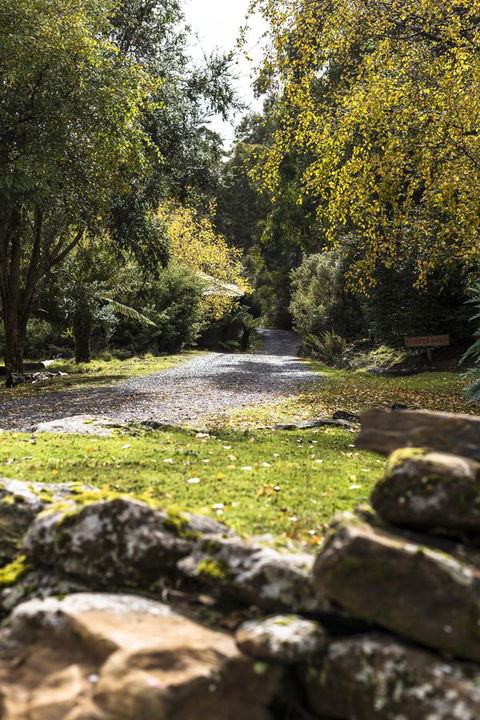 Cradle Forest Inn - Accommodation Sunshine Coast 34