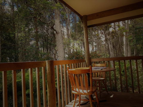 Cradle Forest Inn - Accommodation Sunshine Coast 2