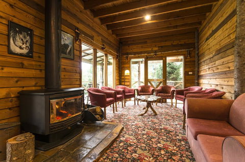 Cradle Forest Inn - Accommodation Sunshine Coast 1