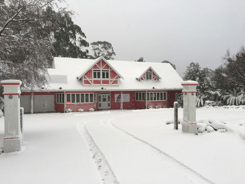 Cradle Forest Inn - Accommodation Sunshine Coast 0