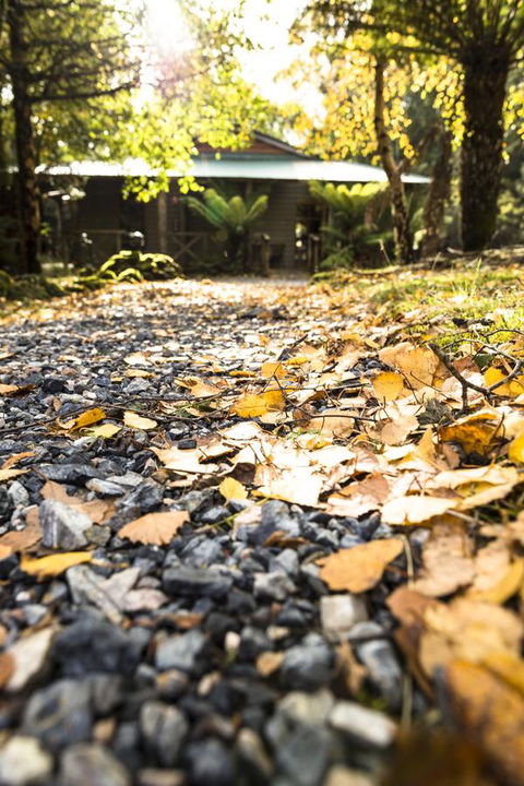 Cradle Forest Inn - Accommodation Sunshine Coast 35