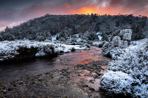 Peppers Cradle Mountain Lodge - Accommodation Sunshine Coast 44