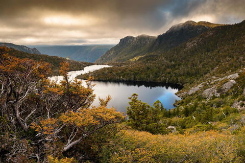 Peppers Cradle Mountain Lodge - Accommodation Sunshine Coast 38