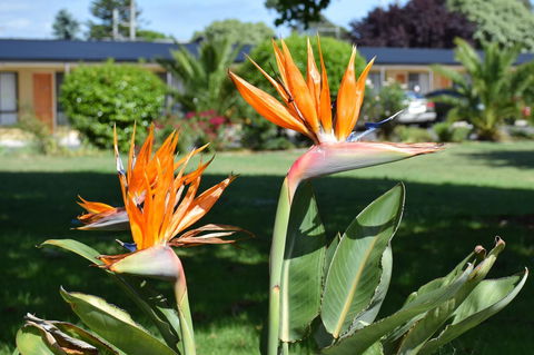 Beachway Motel - Accommodation Sunshine Coast 21