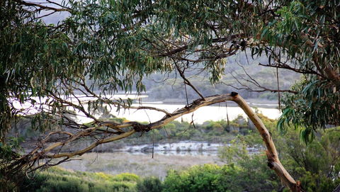 KINGFISHER COTTAGE Beachfront At The Binalong Bay - Accommodation Sunshine Coast 17