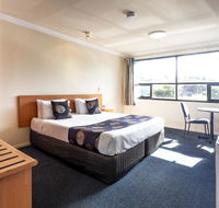 Black Buffalo - Accommodation Sunshine Coast