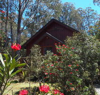 Cradle Mountain Highlanders - Accommodation Sunshine Coast