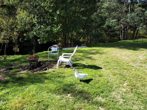 Wanderlust Cottage - Accommodation Sunshine Coast 18