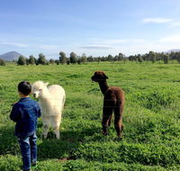 Taras Richmond Farmstay - Accommodation Sunshine Coast