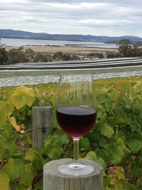 Bellerive Marina View Apartments No 28 - Accommodation Sunshine Coast 31