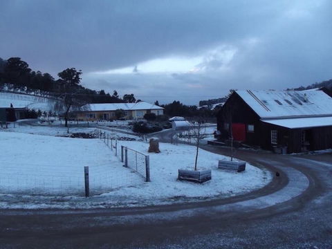 Eden Orchard & Farmstay - Accommodation Sunshine Coast 23
