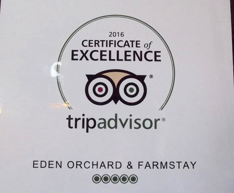 Eden Orchard & Farmstay - Accommodation Sunshine Coast 28