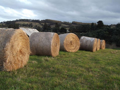 Eden Orchard & Farmstay - Accommodation Sunshine Coast 35