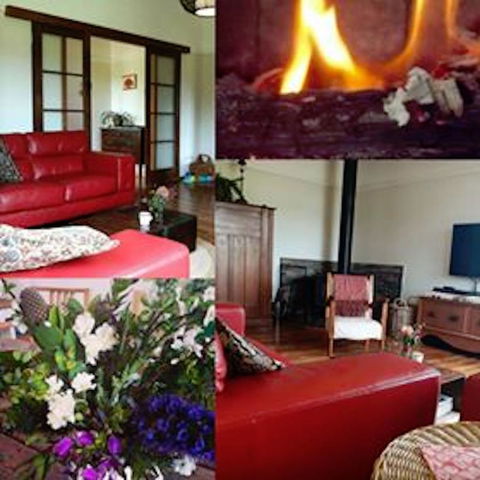 Eden Orchard & Farmstay - Accommodation Sunshine Coast 11