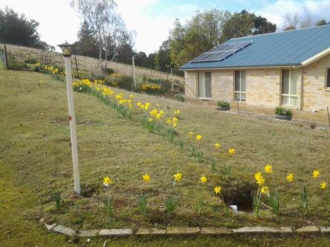 Marinavisage - Accommodation Sunshine Coast 10