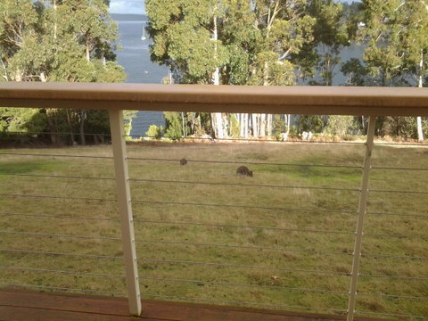 Marinavisage - Accommodation Sunshine Coast 20
