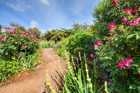 Wagners Cottages - Accommodation Sunshine Coast 30