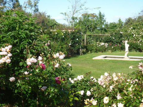 Wagners Cottages - Accommodation Sunshine Coast 6
