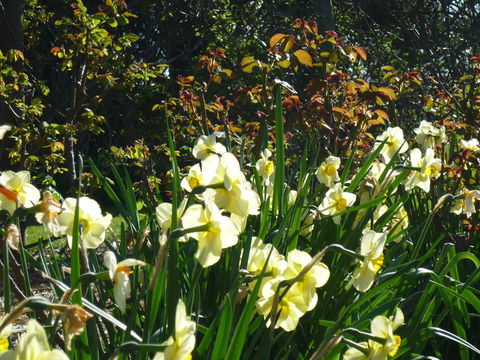 Wagners Cottages - Accommodation Sunshine Coast 13