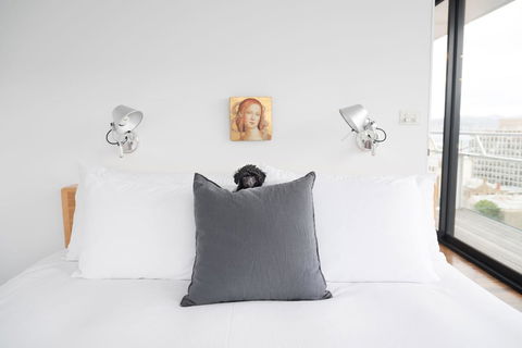 Avalon City Retreat - Accommodation Sunshine Coast 10