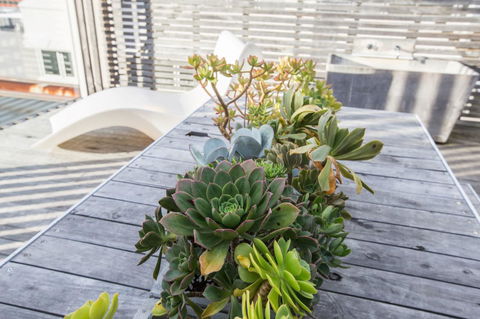 Avalon City Retreat - Accommodation Sunshine Coast 5