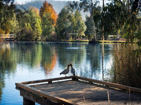 Peppers Marysville - Accommodation Sunshine Coast 12