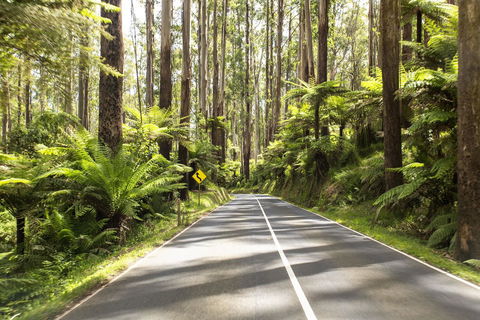 Peppers Marysville - Accommodation Sunshine Coast 21