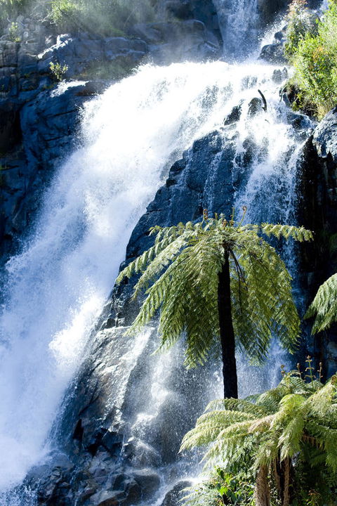 Tower Motel Marysville - Accommodation Sunshine Coast 23