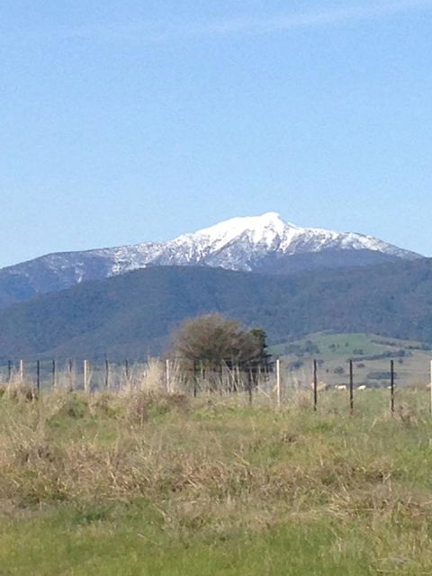 High Country Holiday Park - Accommodation Sunshine Coast 34